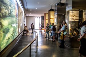 Niezwykle ciekawe i multimedialne muzeum przybliża historię Stonehenge.